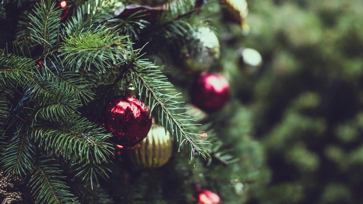 Christmas Rush