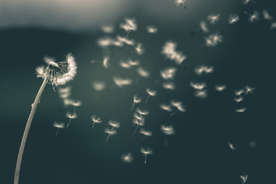 God-breathed