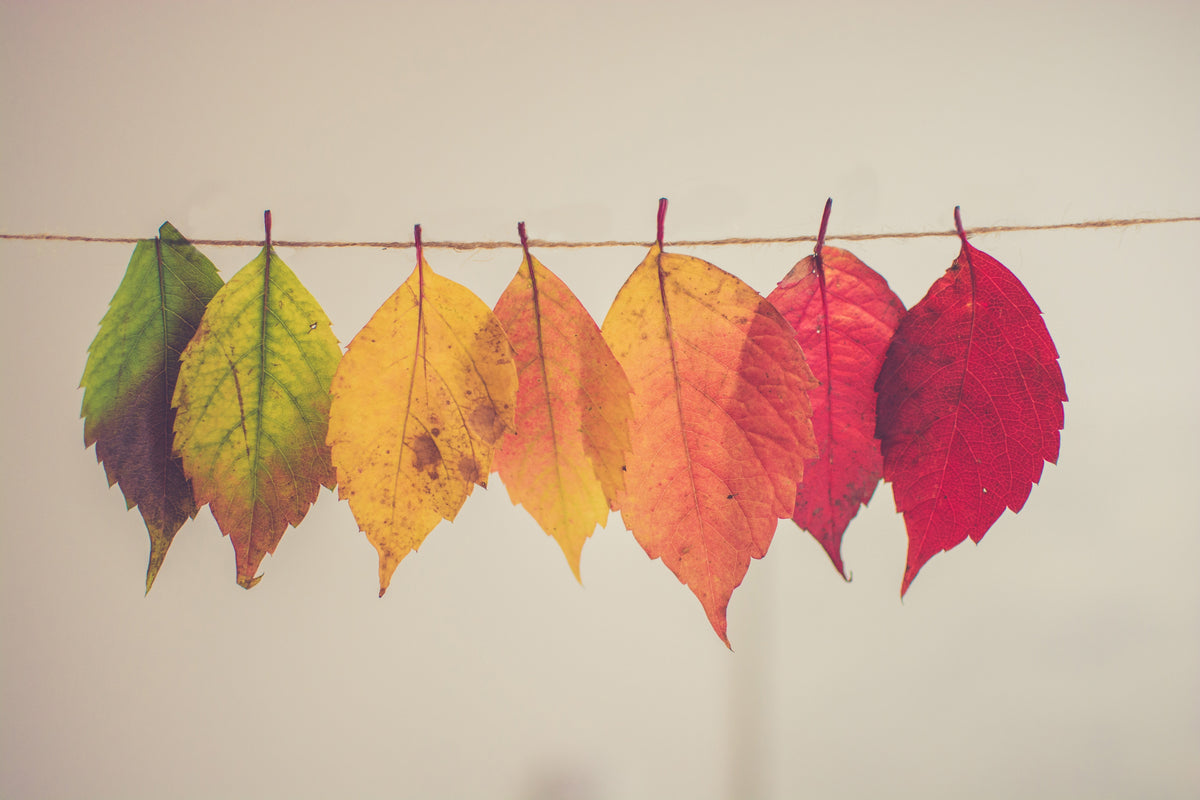 True Thankfulness