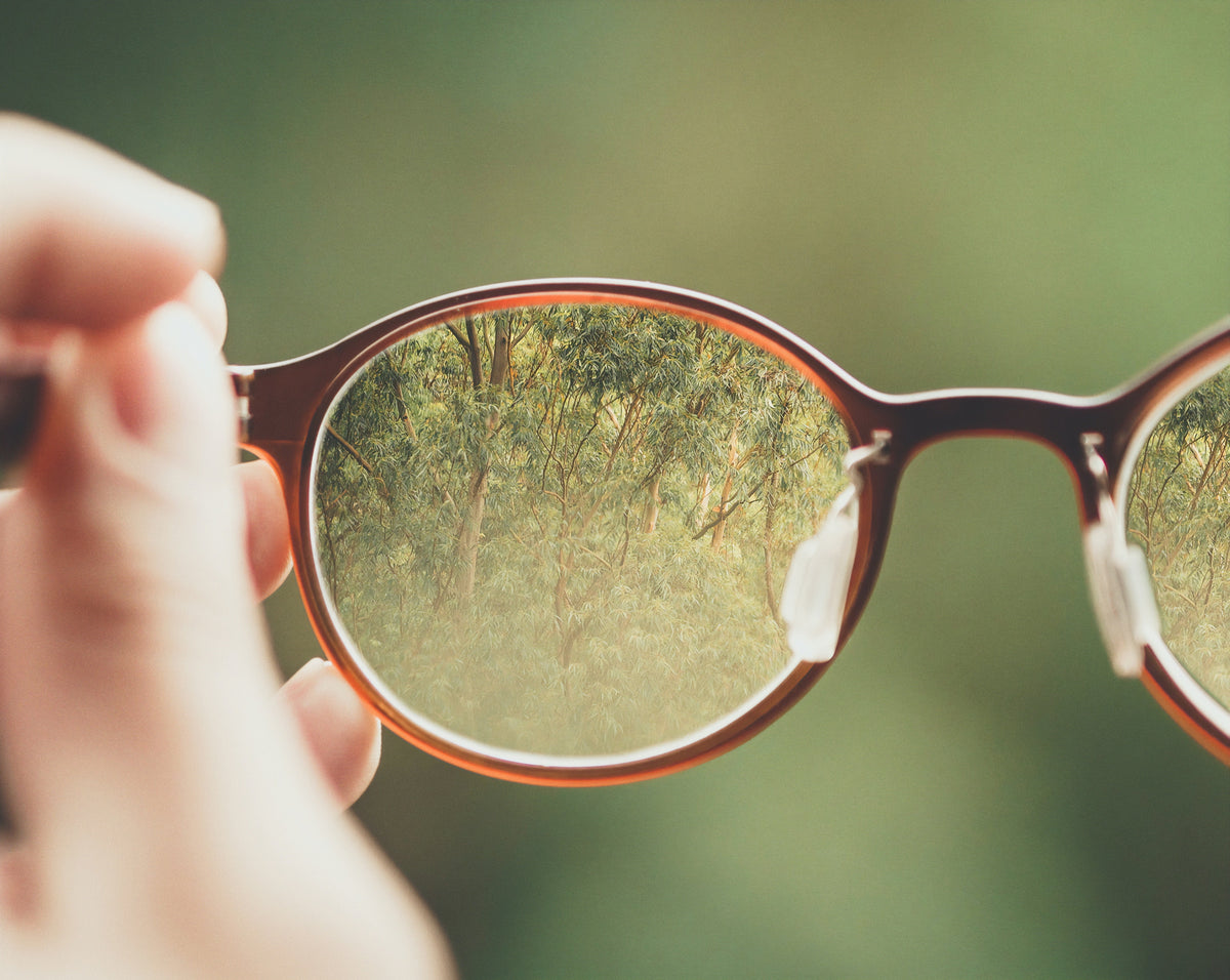 Casting Vision