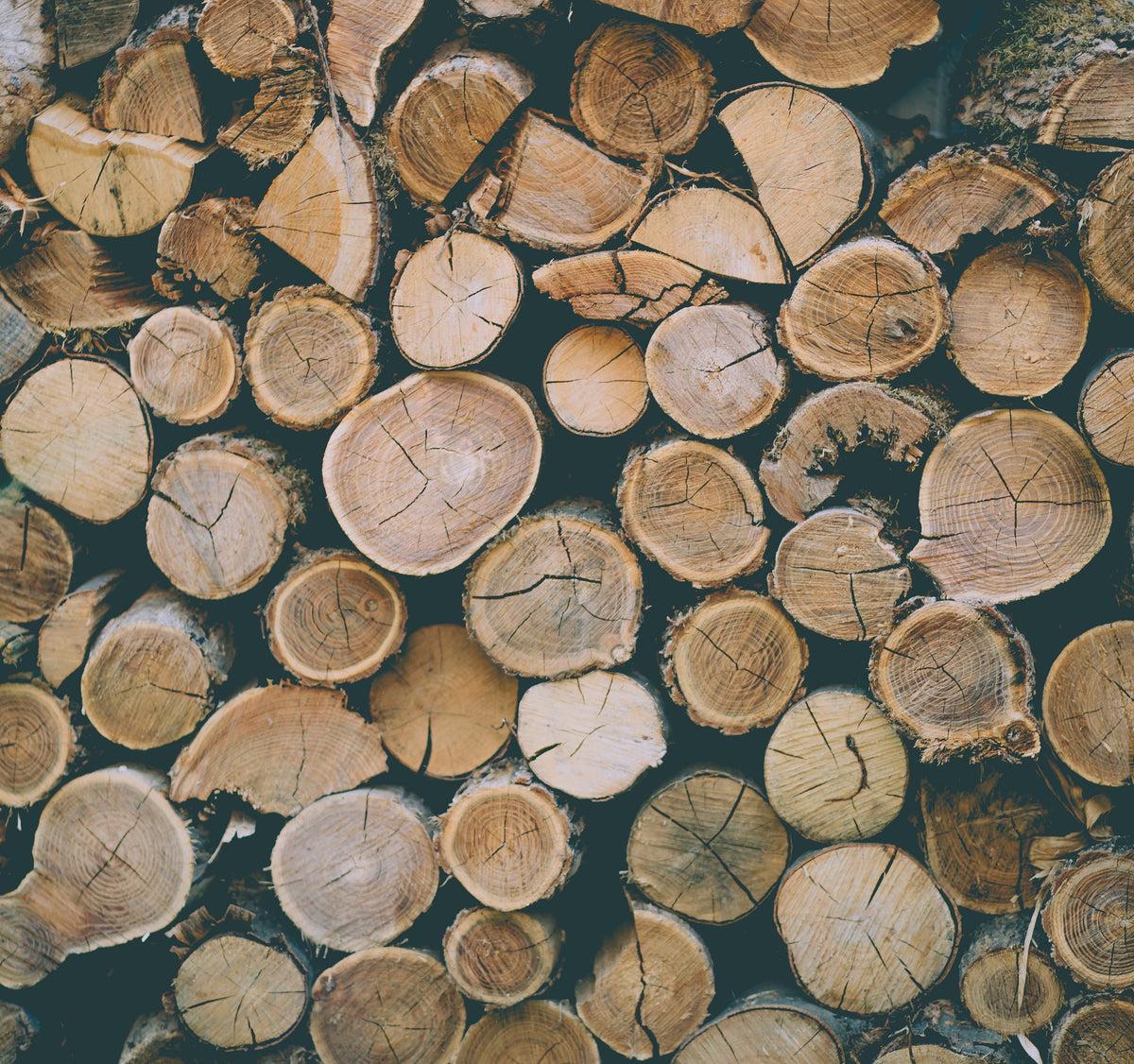 Watered Wood
